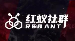 社群运营:红蚁社群【48节落地系统课程+2000人高端社群】-网创资源吧