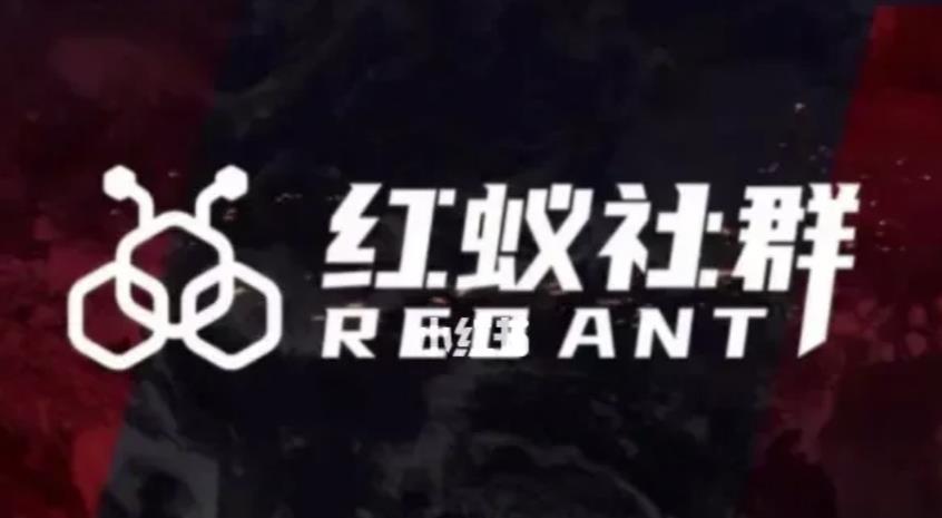 社群运营：红蚁社群【48节落地系统课程+2000人高端社群】-网创资源吧
