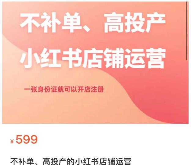不补单、高投产的小红书店铺运营，一张身份证就可以开店注册-网创资源吧