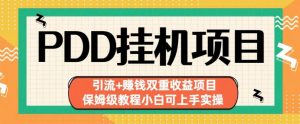拼多多挂机项目引流+赚钱双重收益项目(保姆级教程小白可上手实操)【揭秘】-网创资源吧