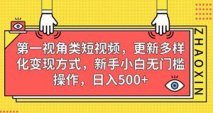 第一视角类短视频，更新多样化变现方式，新手小白无门槛操作，日入500+【揭秘】-网创资源吧