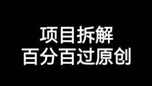 项目拆解赛道百分百过原创【揭秘】-网创资源吧