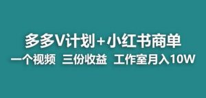 【蓝海项目】多多v计划+小红书商单一个视频三份收益工作室月入10w-网创资源吧