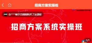【一度招商】招商方案系统实操班 价值1980元-网创资源吧