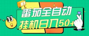 番茄全自动挂机日入50+,软件全自动,多号破百【揭秘】-网创资源吧
