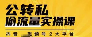 群响公转私偷流量实操课,致力于拥有更多自持,持续,稳定,精准的私域流量!-网创资源吧