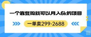 一单卖299-2688,一个靠复购就可以月入6k的暴利项目【揭秘】-网创资源吧