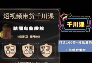 短视频带货-千川专业投放课，​精细化专业投放，计划纠正，提升ROI-网创资源吧