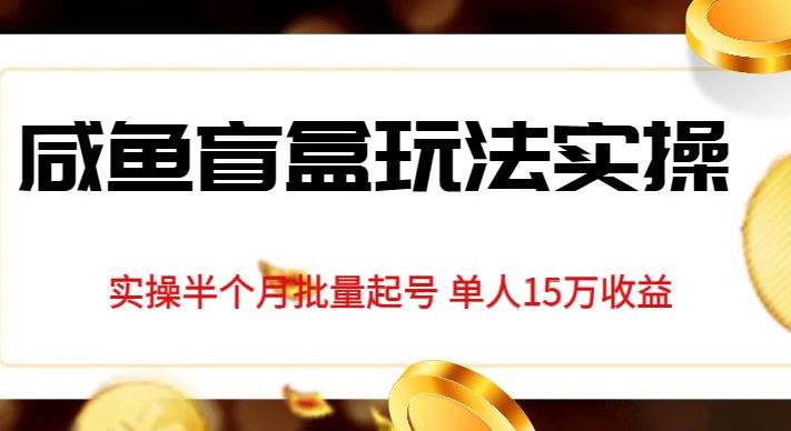 独家首发咸鱼盲盒玩法实操，半个月批量起号单人15万收益【揭秘】-网创资源吧