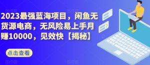 2023最强蓝海项目,闲鱼无货源电商,无风险易上手月赚10000,见效快【揭秘】-网创资源吧