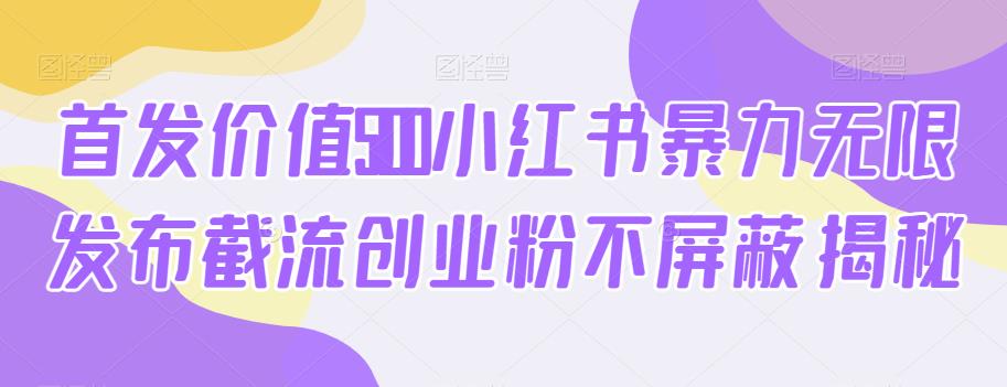 首发价值5100小红书暴力无限发布截流创业粉不屏蔽揭秘-网创资源吧