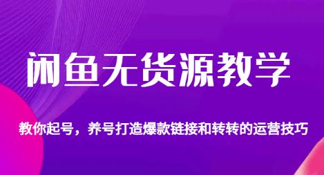 闲鱼无货源教学，教你起号，养号打造爆款链接以及转转的运营技巧-网创资源吧