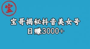 宝哥揭秘抖音美女号玩法,日赚3000+【揭秘】-网创资源吧