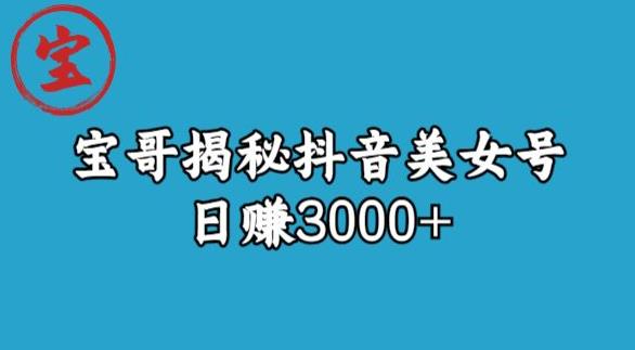 宝哥揭秘抖音美女号玩法，日赚3000+【揭秘】-网创资源吧