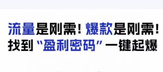 电商盈利精品课：6大盈利密码让产品更好卖，流量是刚需！爆款是刚需！找到”盈利密码”一键起爆-网创资源吧