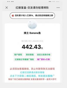 盲盒交友5.0，男粉变现实操项目，亲测变现效果极好【揭秘】-网创资源吧