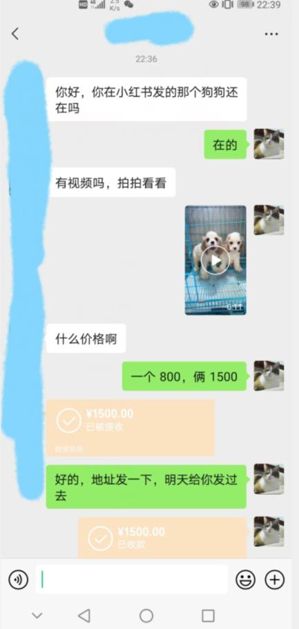 外边收费3980的同城萌宠项目，用最冷门的玩法冲击最热门的市场【揭秘】-网创资源吧