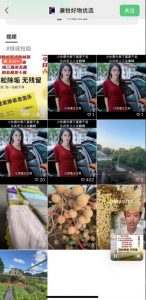 外面收费198的最新视频号连怼技术,条条原创,条条爆单【揭秘】-网创资源吧