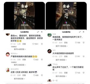 副业拆解：抖音杰伦音乐号涨粉变现项目，视频版一条龙实操玩法分享给你-网创资源吧