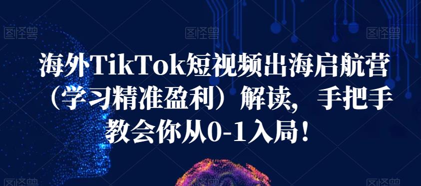 海外TikTok短视频出海启航营（学习精准盈利）解读，手把手教会你从0-1入局！-网创资源吧