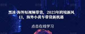 黑冰·海外短视频带货,2023年跨境新风口,海外小黄车带货新机遇-网创资源吧