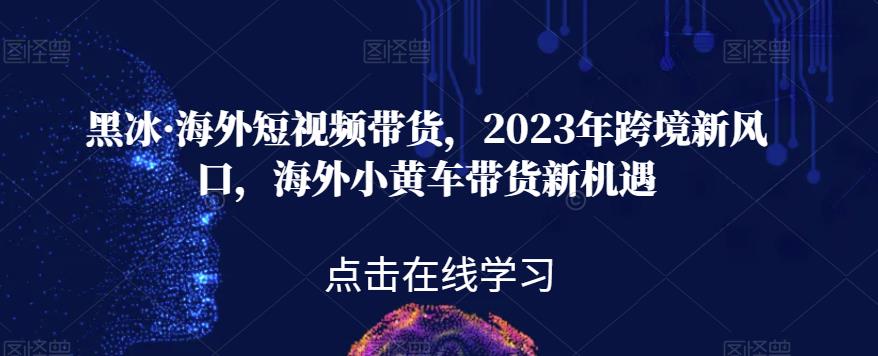黑冰·海外短视频带货，2023年跨境新风口，海外小黄车带货新机遇-网创资源吧