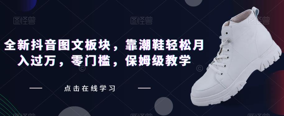 全新抖音图文板块，靠潮鞋轻松月入过万，零门槛，保姆级教学【揭秘】-网创资源吧