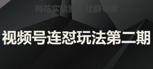 梅花实验室社群视频号连怼玩法第二期,实操讲解全部过程-网创资源吧