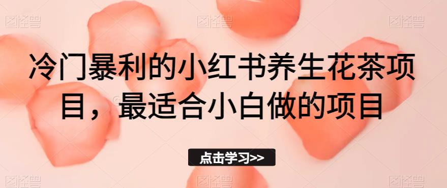 冷门暴利的小红书养生花茶项目，最适合小白做的项目【揭秘】-网创资源吧