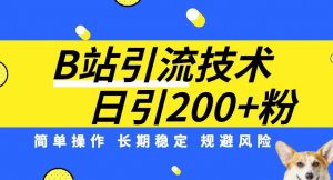 B站引流技术:每天引流200精准粉,简单操作,长期稳定,规避风险-网创资源吧