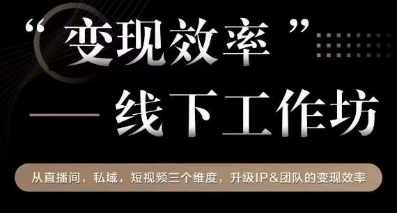 变现效率线下工作坊，从‮播直‬间、私域、‮视短‬频‮个三‬维度，升级IP和团队变现效率-网创资源吧