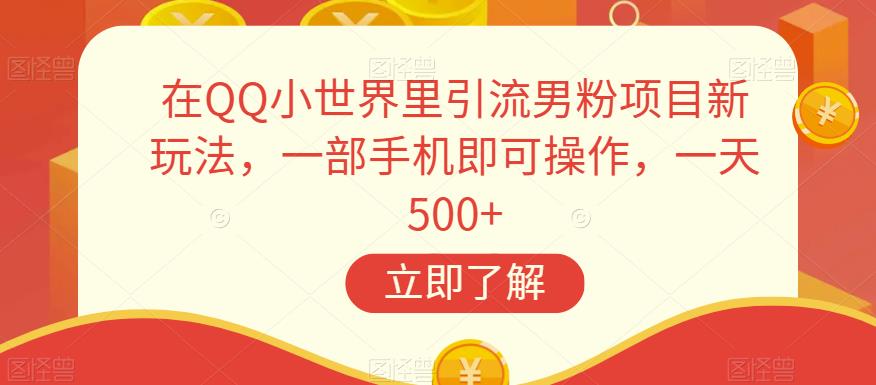 在QQ小世界里引流男粉项目新玩法，一部手机即可操作，一天500+【揭秘】-网创资源吧
