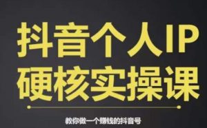 个人IP创富系统实战课，商业定位，流量打造，短视频变现，教你做个赚钱的抖音号-网创资源吧