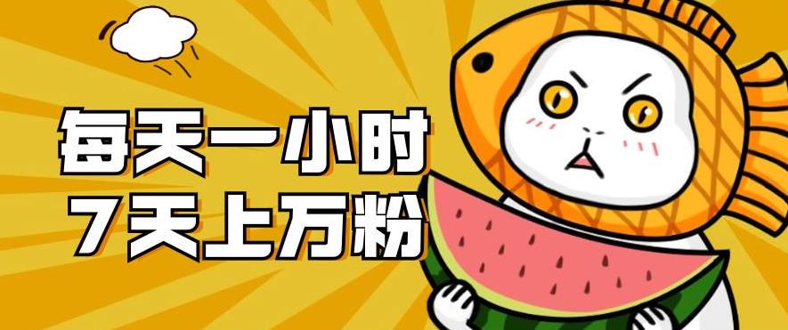 暴力涨粉项目：每天一小时，七天上万粉【揭秘】-网创资源吧