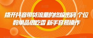 撬开抖音带货流量的终极密码 个位数单品很吃香 新手容易操作-网创资源吧