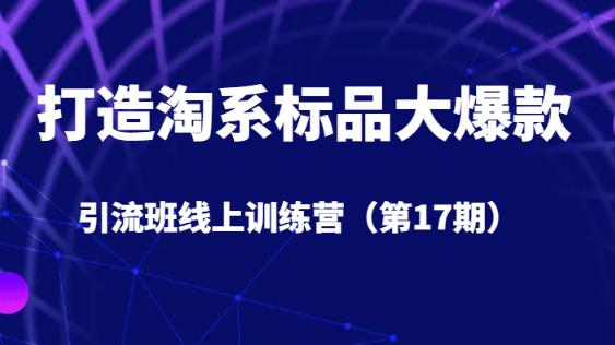 打造淘系标品大爆款引流班线上训练营（第17期）5天直播授课-网创资源吧