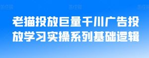老猫投放巨量千川广告投放学习实操系列基础逻辑-网创资源吧