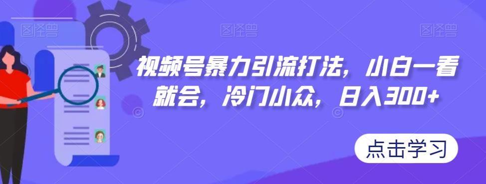 视频号暴力引流打法，小白一看就会，冷门小众，日入300+【揭秘】-网创资源吧