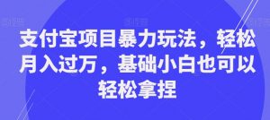 支付宝项目暴力玩法，轻松月入过万，基础小白也可以轻松拿捏【揭秘】-网创资源吧