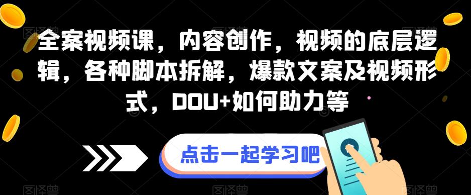 全案视频课，内容创作，视频的底层逻辑，各种脚本拆解，爆款文案及视频形式，DOU+如何助力等-网创资源吧