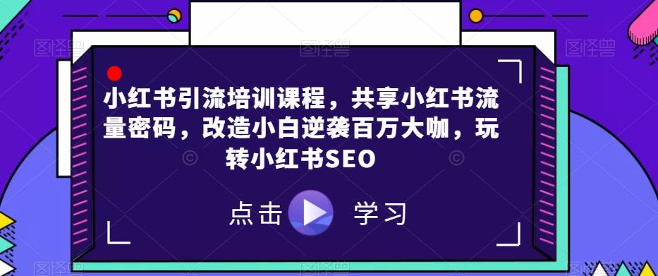 小红书引流培训课程，共享小红书流量密码，改造小白逆袭百万大咖，玩转小红书SEO-网创资源吧