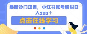 最新冷门项目，小红书账号解封日入200＋【揭秘】-网创资源吧