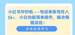 小红书印钞机——号成单账号月入5k+,小白也能简单操作,解决刚需项目【揭秘】-网创资源吧