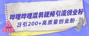 哔哩哔哩B站混剪视频引流创业粉日引300+-网创资源吧