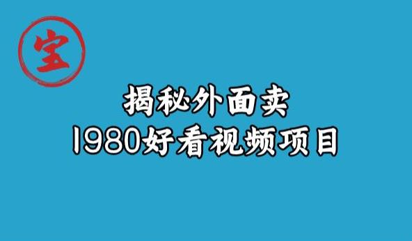 宝哥揭秘外面卖1980好看视频项目，投入时间少，操作难度低-网创资源吧