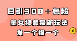 日引300+男粉,美女视频最新玩法,发一个爆一个【揭秘】-网创资源吧