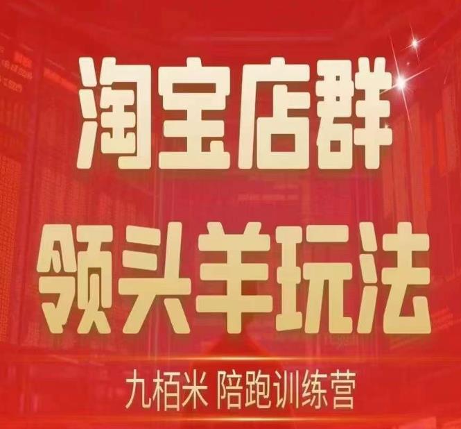 九栢米-淘宝店群领头羊玩法，教你整个淘宝店群领头羊玩法以及精细化/终极蓝海/尾销等内容-网创资源吧