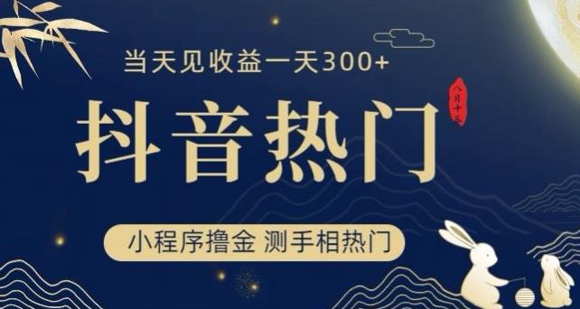 抖音最新小程序撸金，测手相上热门，当天见收益一小时变现300+【揭秘】-网创资源吧
