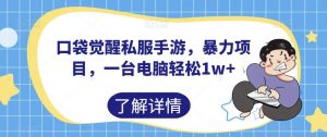 口袋觉醒私服手游,暴力项目,一台电脑轻松1w+【揭秘】-网创资源吧