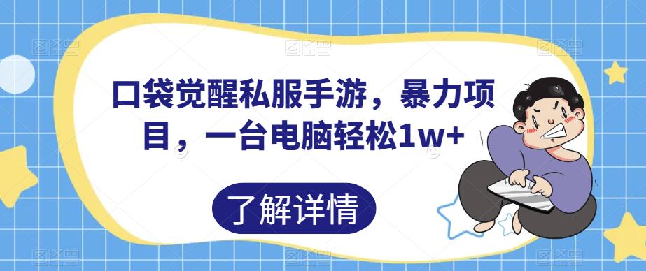 口袋觉醒私服手游，暴力项目，一台电脑轻松1w+【揭秘】-网创资源吧